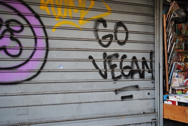 Dsc 0211 copy 600x402.jpg?ixlib=rails 2.1