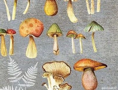 Rsz 14128631 174079879688585 684868693 n.jpg?ixlib=rails 2.1