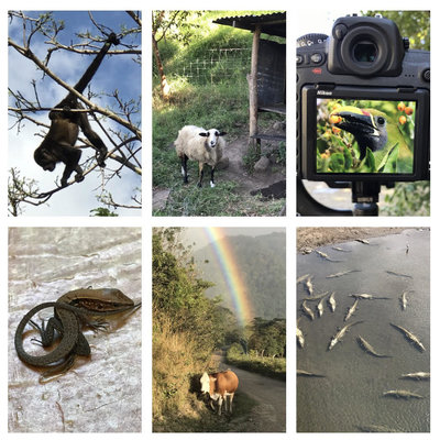 Rsz 1unnamed.jpg?ixlib=rails 2.1