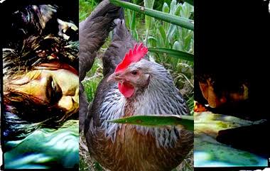 Unnamed.jpg?ixlib=rails 2.1