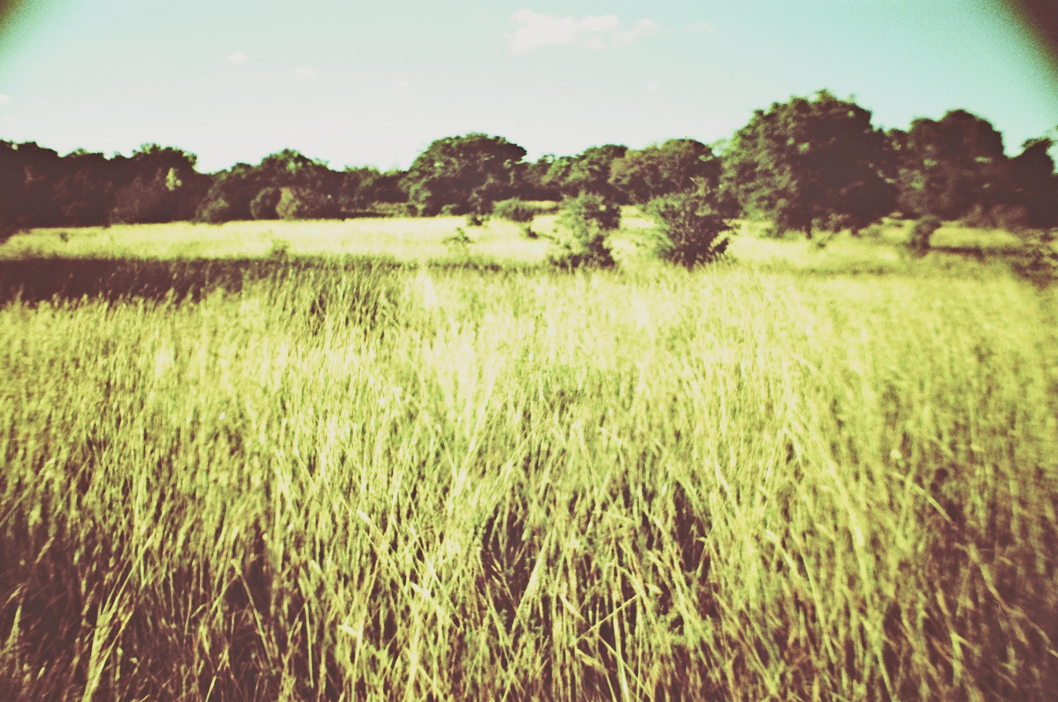 Land 9.jpg?ixlib=rails 2.1