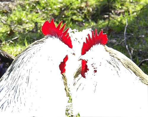 Nick2849939957 714837287e.png?ixlib=rails 2.1