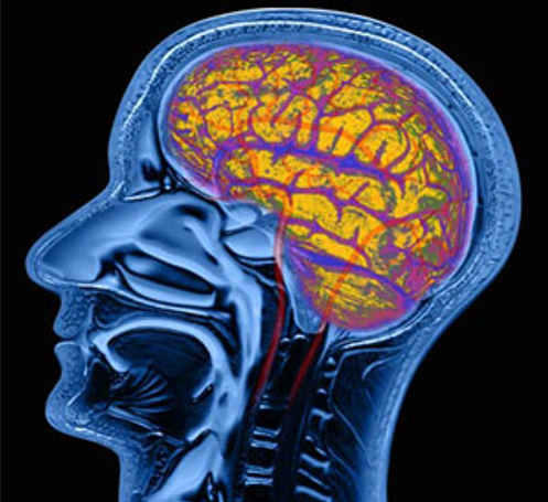 Screen shot 2017 03 10 at 9.44.10 am.png?ixlib=rails 2.1