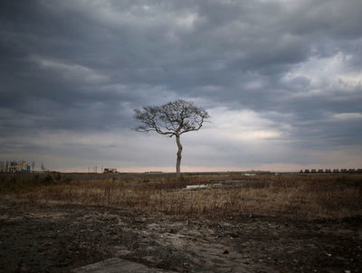 Rsz gallery 1457643197 gettyimages 513973906.jpg?ixlib=rails 2.1