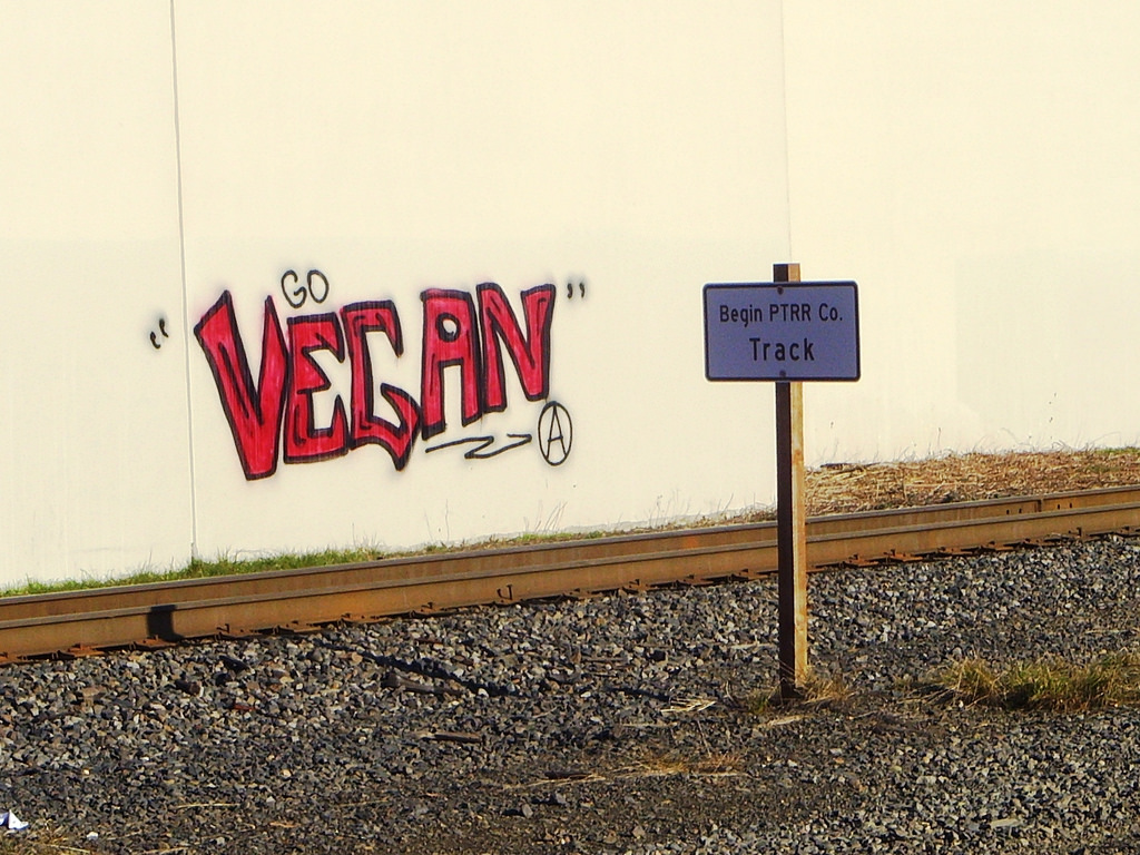 3251548610 41b08cf2d6 b.jpg?ixlib=rails 2.1