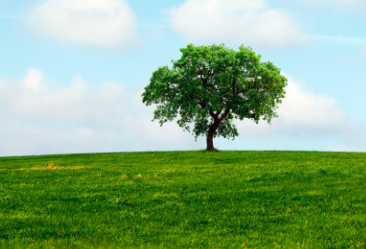 Screen shot 2021 11 01 at 8.37.56 pm.png?ixlib=rails 2.1