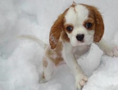 Rsz 17308886 10155171765137140 3913019866595476909 n.jpg?ixlib=rails 2.1