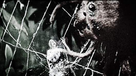 Adobephotoshopexpress 2017 04 07 13 20 10.jpg?ixlib=rails 2.1