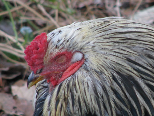 1450563320 f7b1970212.jpg?ixlib=rails 2.1