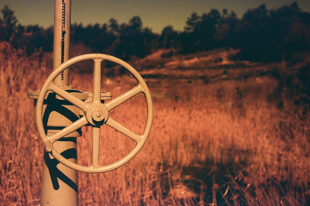 32893247452 92fe5d1bf6 b.jpg?ixlib=rails 2.1