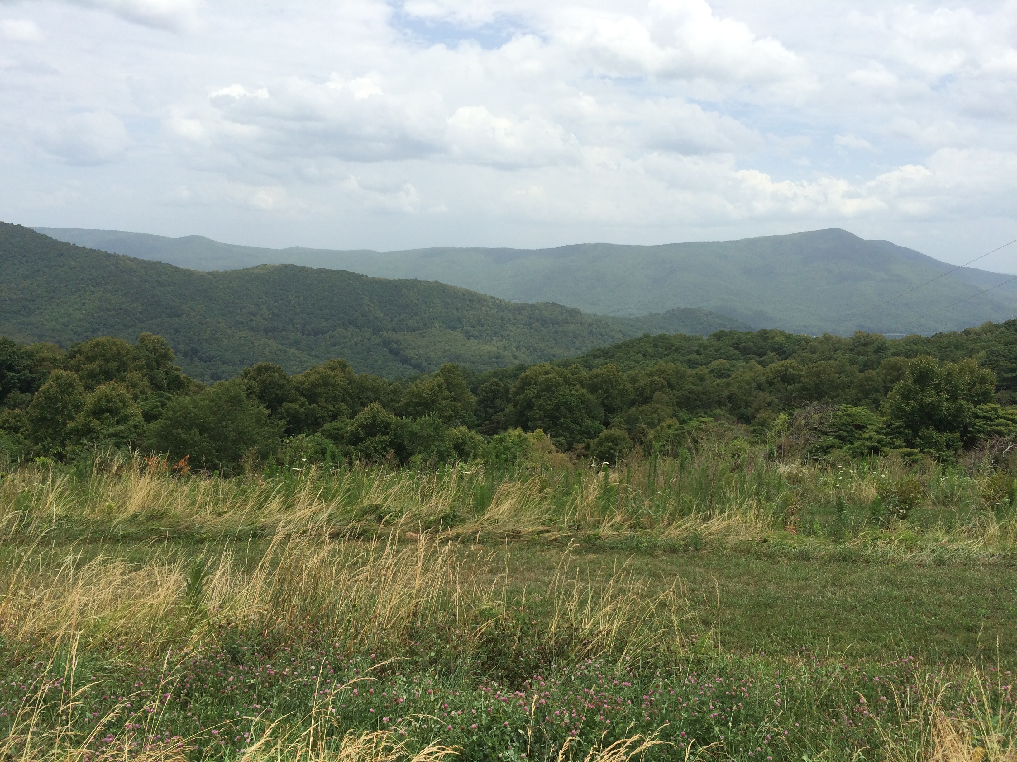 Img 9729.jpg?ixlib=rails 2.1