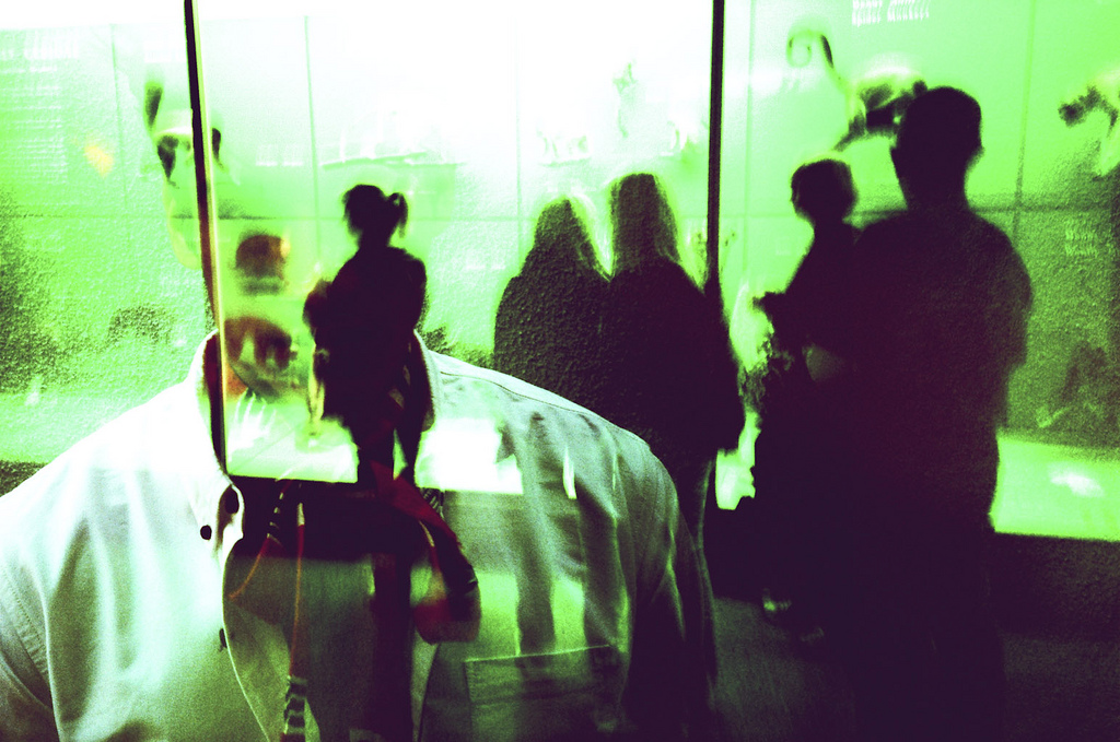 6189204435 430a77c869 b.jpg?ixlib=rails 2.1