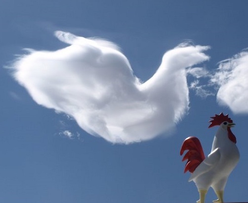 Cloud formations rooster1.jpg?ixlib=rails 2.1