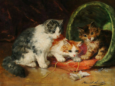Rsz three kittens playing.jpg?ixlib=rails 2.1