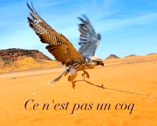 Getpart.jpeg?ixlib=rails 2.1