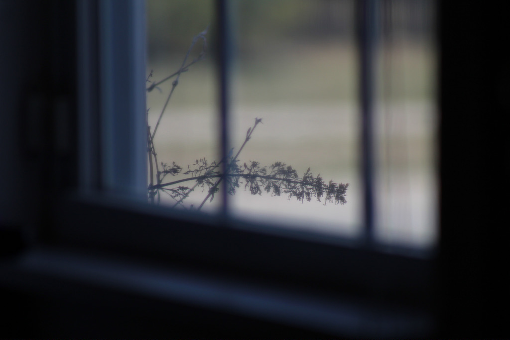 16955722056 fc18d13301 b.jpg?ixlib=rails 2.1