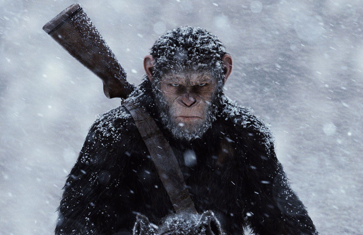 Screen shot 2017 07 14 at 10.07.25 am.png?ixlib=rails 2.1