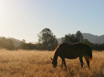 Rsz 61.jpg?ixlib=rails 2.1