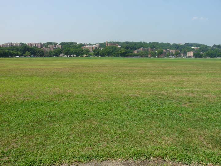 Title.vcp lawn.jpg?ixlib=rails 2.1