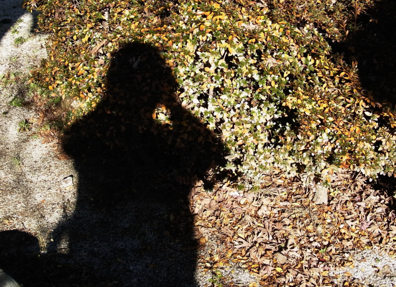 Screen shot 2017 08 23 at 3.22.10 pm.png?ixlib=rails 2.1