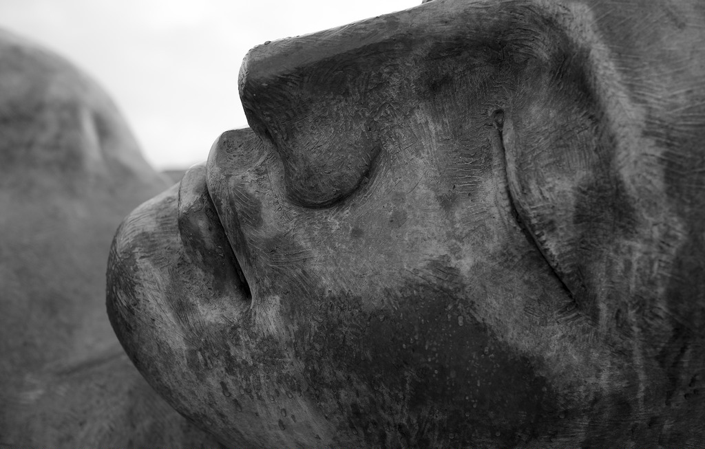 16237733801 a41ff2fccf b.jpg?ixlib=rails 2.1