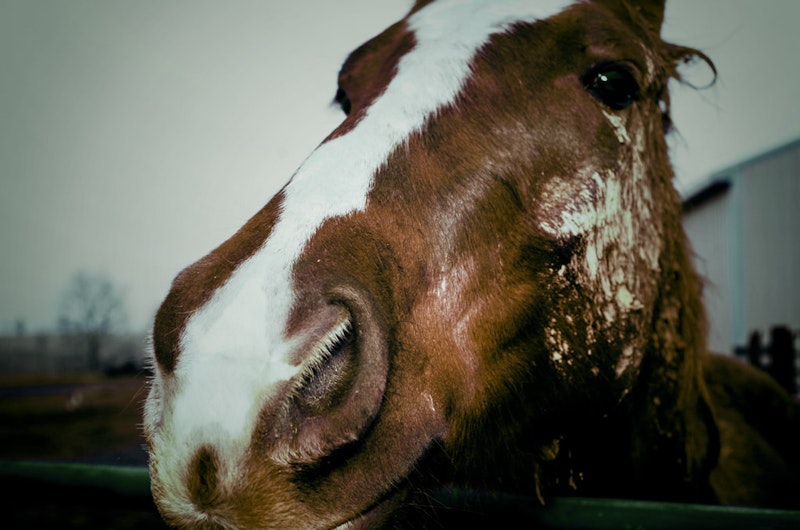 34972446643 1e79ee3a19 b.jpg?ixlib=rails 2.1