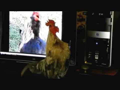 Hqdefault 6.jpg?ixlib=rails 2.1