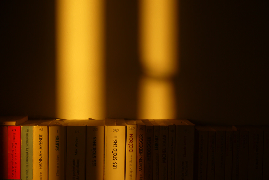 30698383741 d8e4e20de0 b.jpg?ixlib=rails 2.1