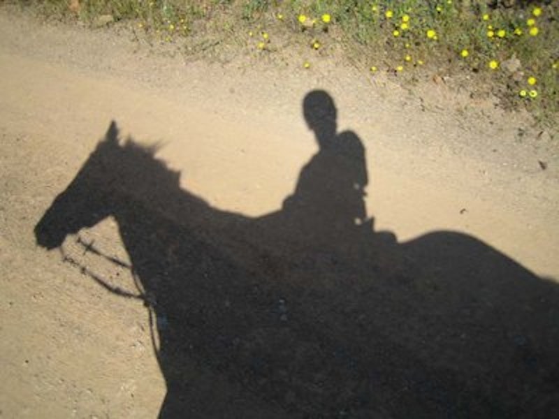 Rsz horse rider shadow.jpg?ixlib=rails 2.1