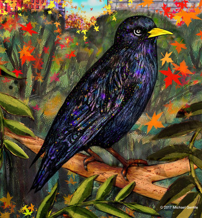 Rsz starling.jpg?ixlib=rails 2.1