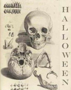 Tomillo.png?ixlib=rails 2.1