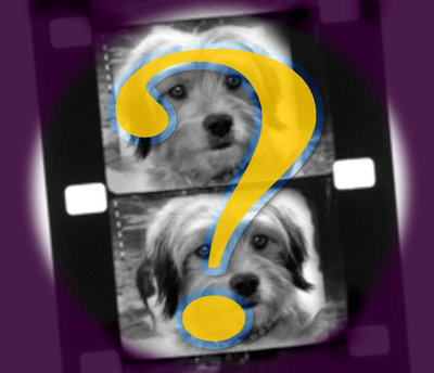 Rsz goingdarkart.jpg?ixlib=rails 2.1