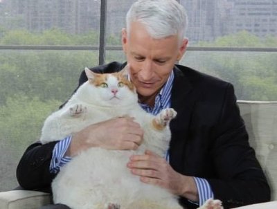 Rsz c fitfl progressiveq 80w 636.jpg?ixlib=rails 2.1