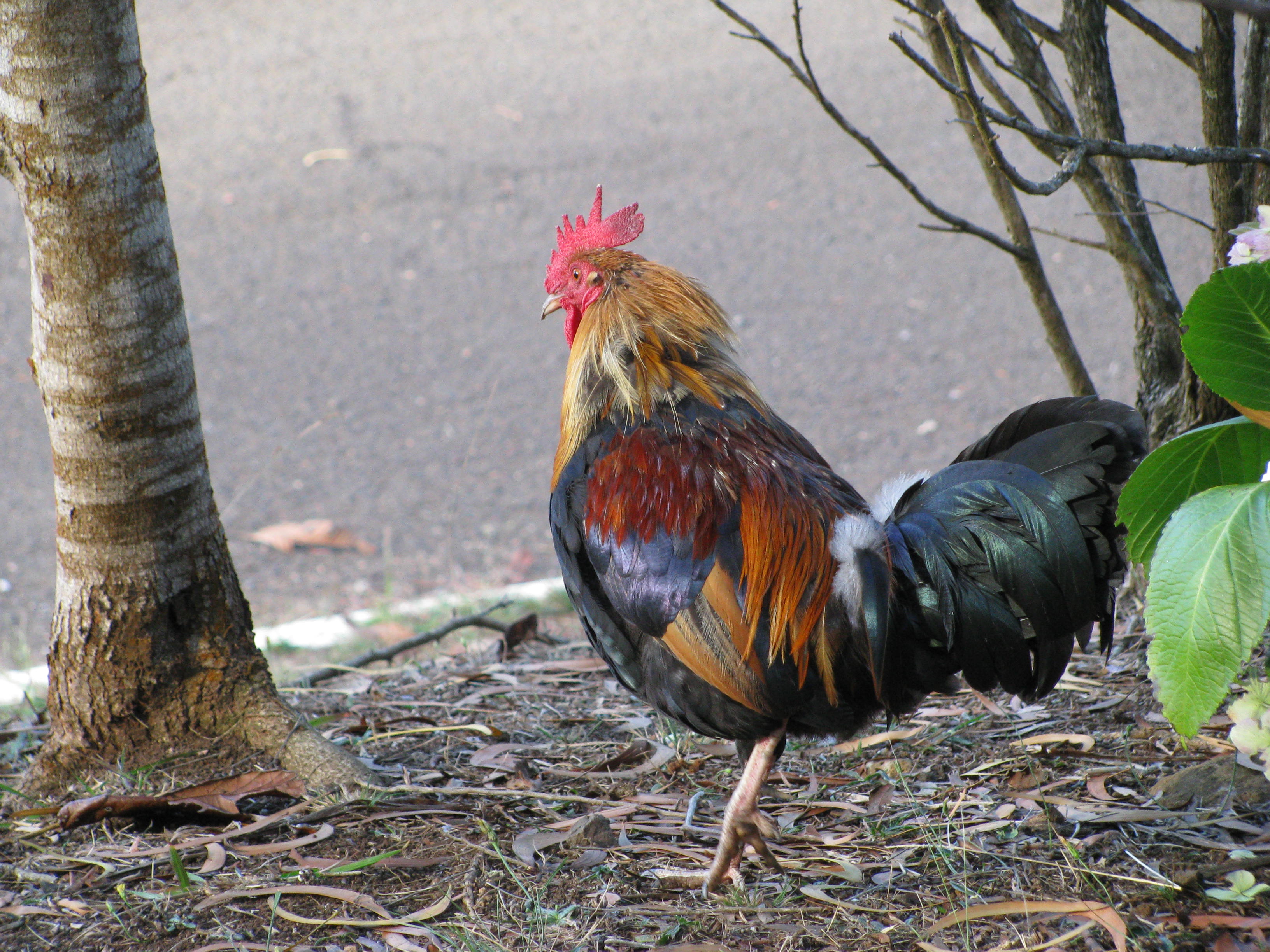 Img 4194.jpg?ixlib=rails 2.1