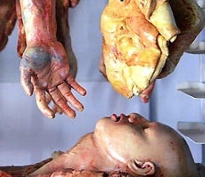 Rsz img 0828.jpg?ixlib=rails 2.1