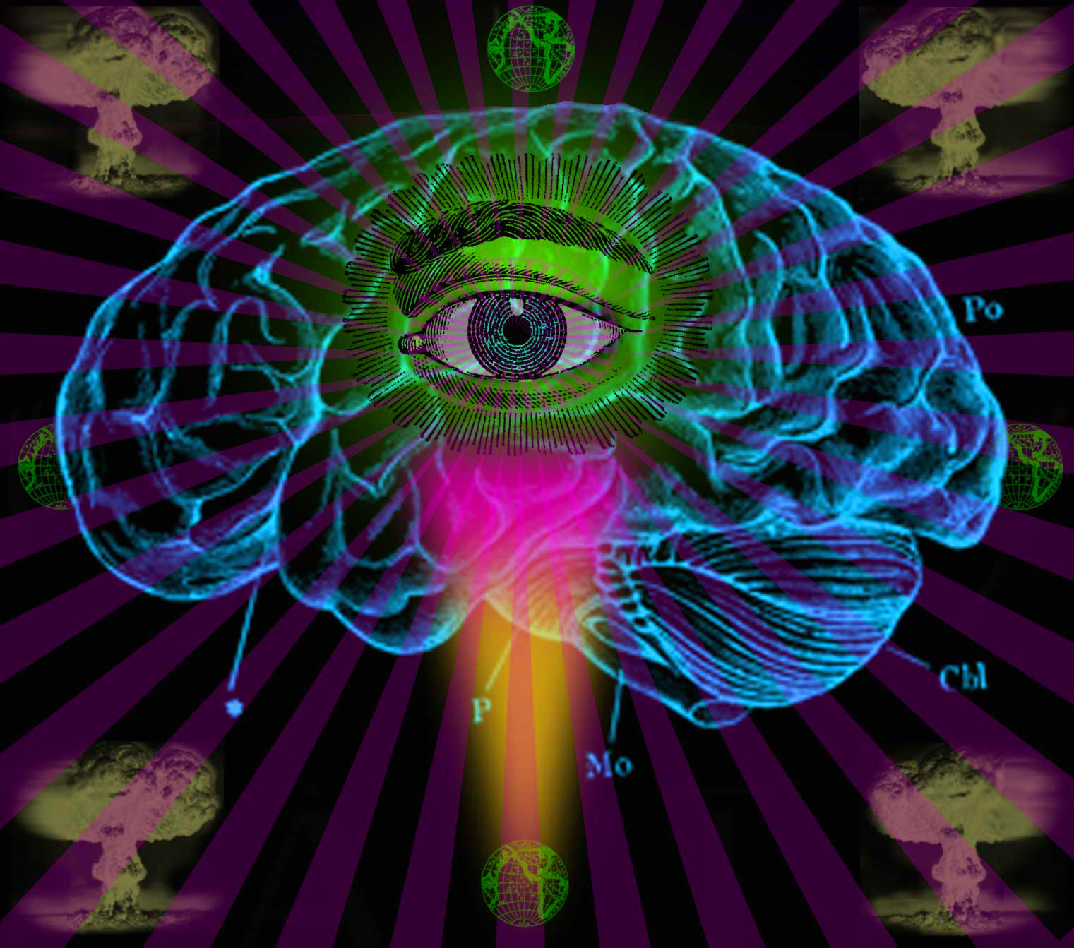 Brain.jpg?ixlib=rails 2.1