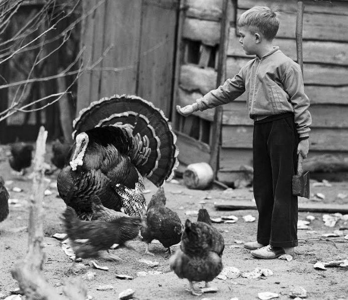 Screen shot 2018 01 19 at 11.01.07 am.png?ixlib=rails 2.1