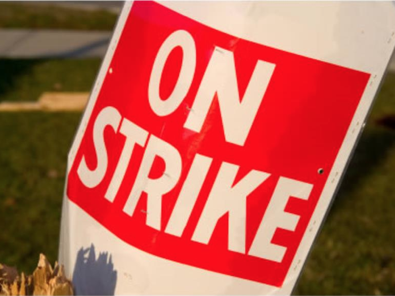 Screen shot 2018 01 28 at 6.35.38 pm.png?ixlib=rails 2.1