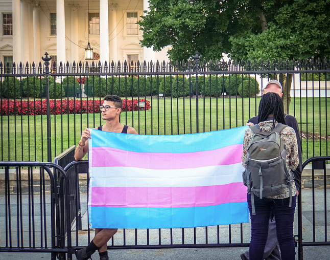 Screen shot 2018 02 11 at 6.49.06 pm.png?ixlib=rails 2.1