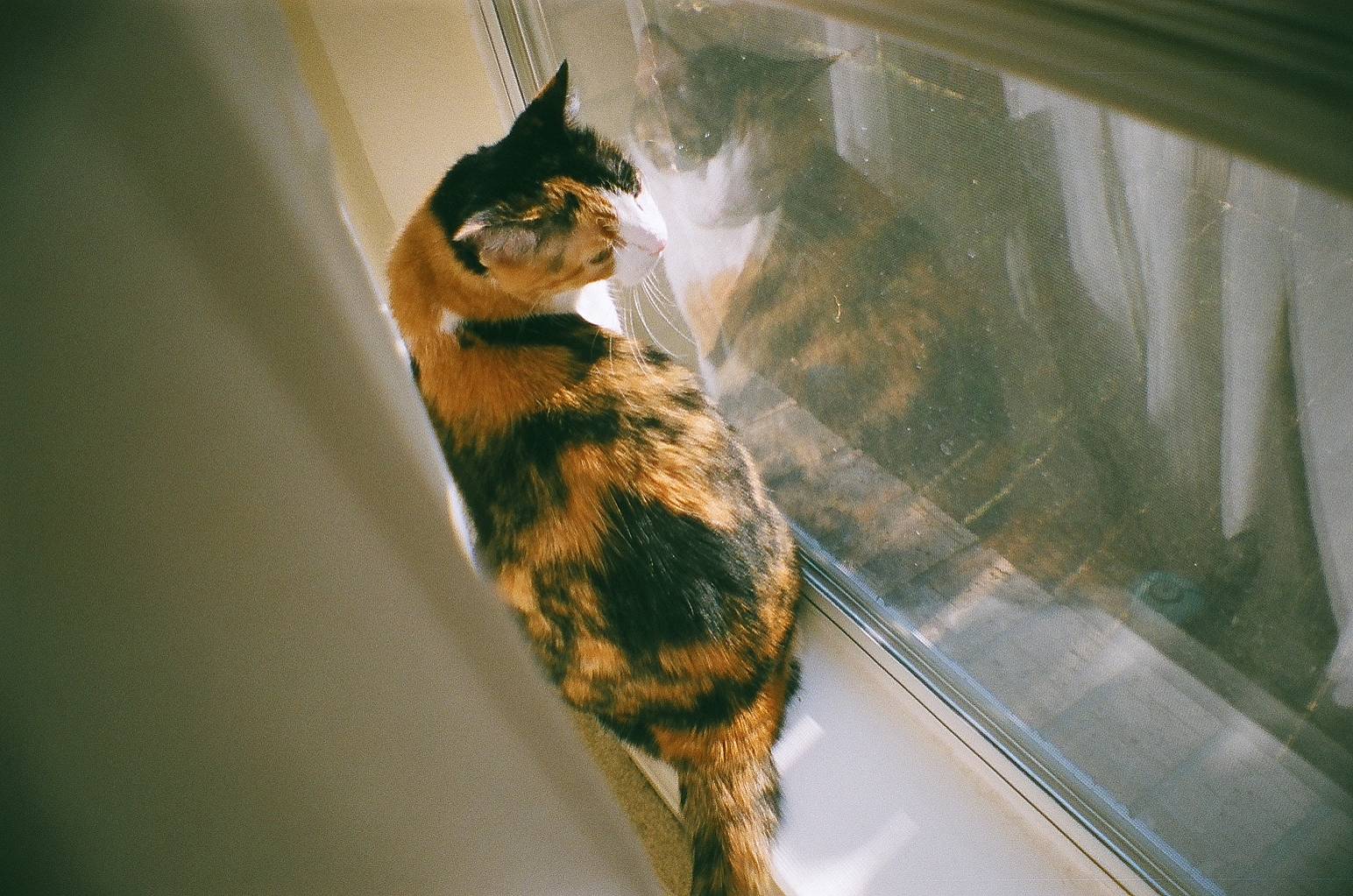 45957729.jpg?ixlib=rails 2.1