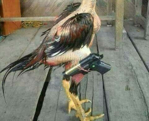 1huerzsacvfykm1kibts57rsm488jsaq6v10niy29mc.jpg?ixlib=rails 2.1