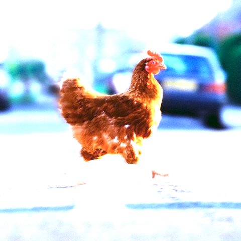 Dyv23h8xuaa dzl.jpg large.jpeg?ixlib=rails 2.1