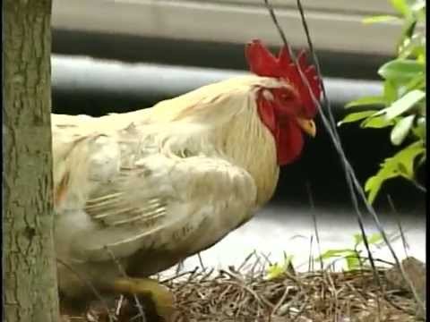 Hqdefault 10.jpg?ixlib=rails 2.1