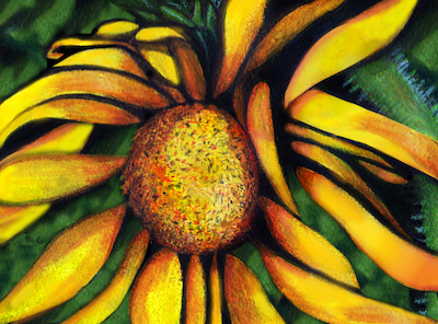 Sunflower.jpg?ixlib=rails 2.1