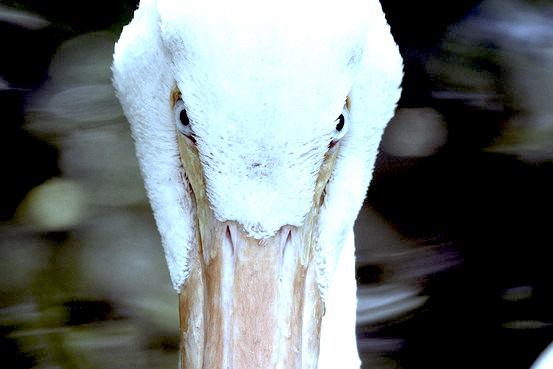 Ob wc561 012413 g 20130124102124.jpg?ixlib=rails 2.1