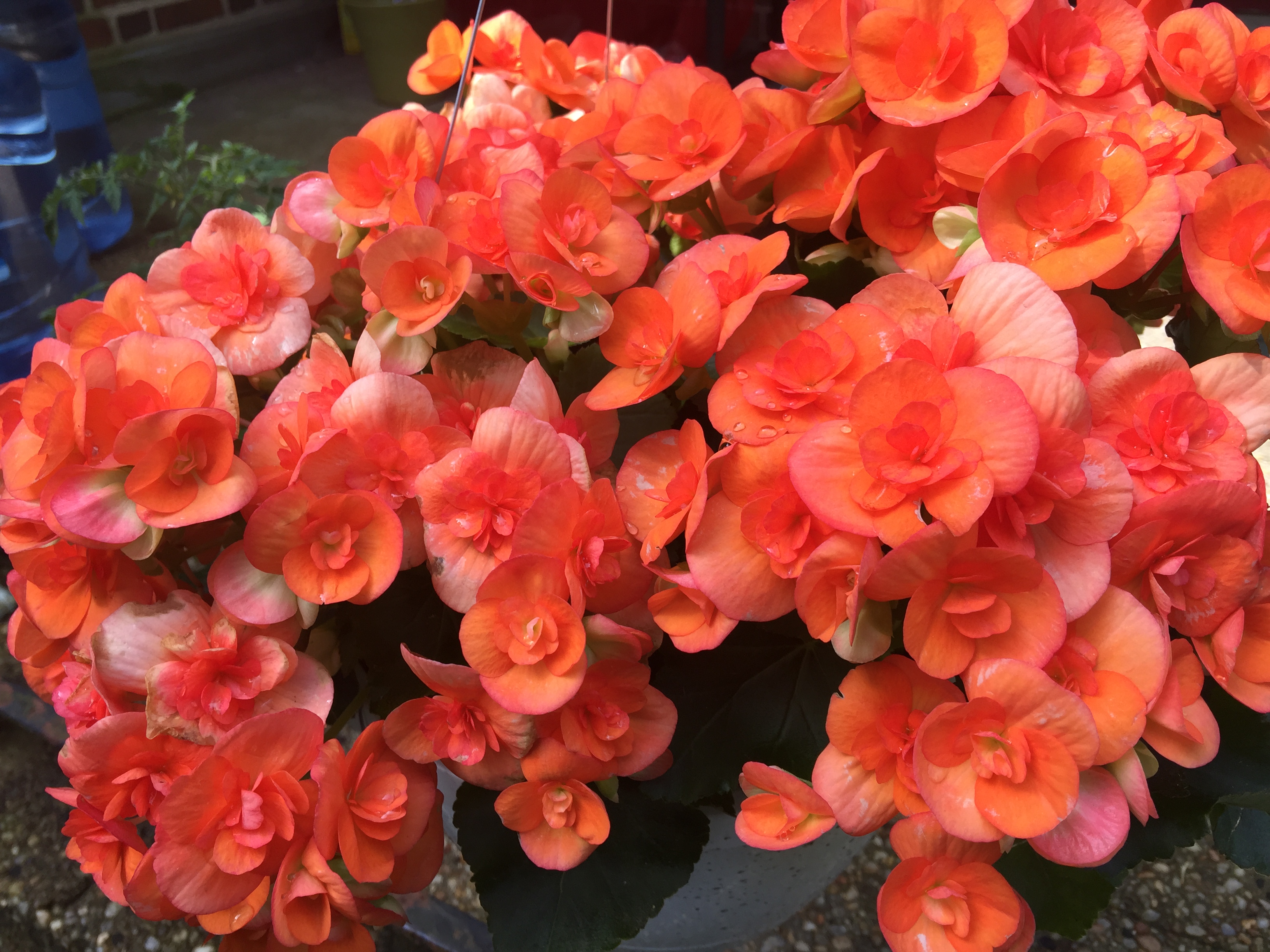 1img 1725.jpg?ixlib=rails 2.1