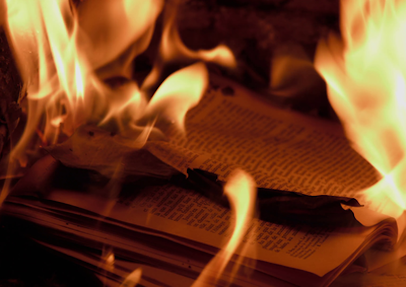 Rsz burning books in a fireplace french language r4f0eflm  f0000.png?ixlib=rails 2.1