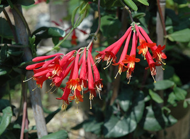 Rsz 1f735 14.jpg?ixlib=rails 2.1