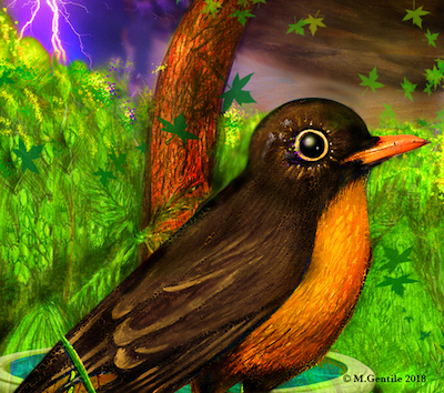 Robin.jpg?ixlib=rails 2.1