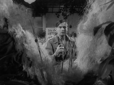 E2246e6a0c7221487f0d08365c3bbc36.jpg?ixlib=rails 2.1